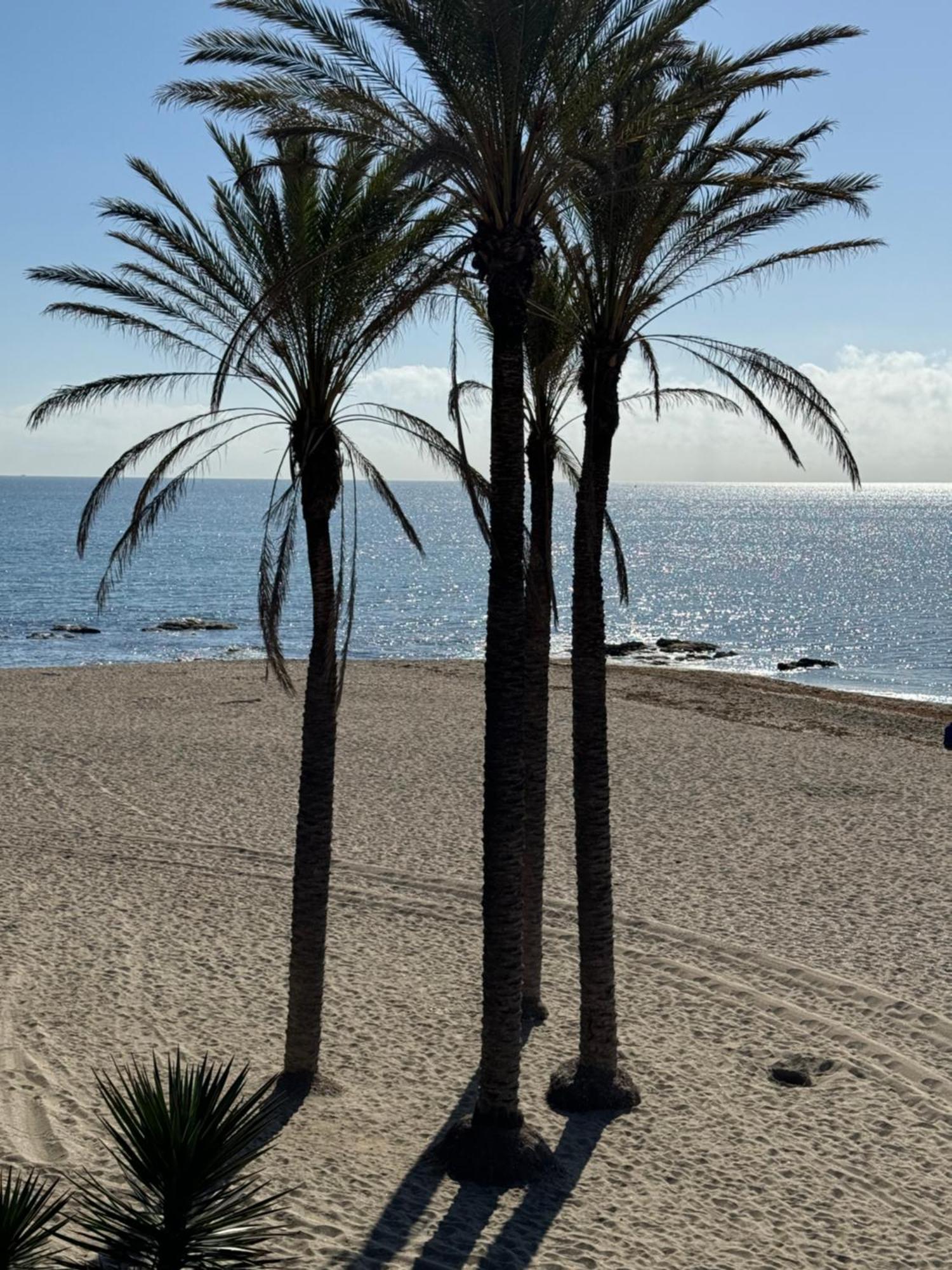 Brand New Studio Benalmádena Kültér fotó